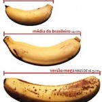 Tamanho do Penis
